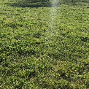 Meet your Posher, Brent